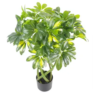 70cm Artificial Twisted Stem Gold Capella Arboricola Artificial Plant Bonsai Bush