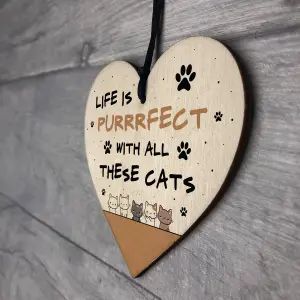 Life Is Perfect With All These Cats Sign Home Sign Funny Crazy Cat Lady Sign Pet Lover Gift