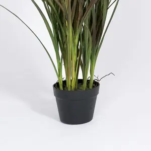 Blooming Artificial - 115cm / 3.75ft Burgundy Artificial Phormium Grass