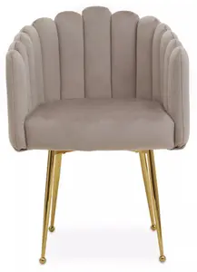 Interiors by Premier Mink Velvet Dining Chair, Modern Chair with Golden Legs, Lasting Accent Chair for Home, Office