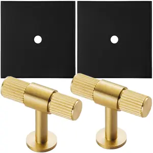 2 PACK - Cabinet Door Knob & Contrasting Backplate Set - Reeded T Bar Pull - Satin Brass & Matt Black