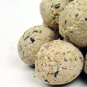 300 x SQUAWK Suet Fat Balls - Wild Garden Bird Food High Energy Year Round Feed Treats