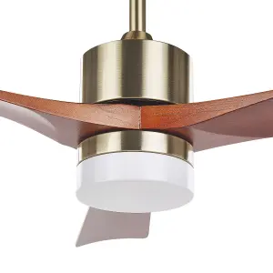 Ceiling Fan with Light Brass ARUWIMI