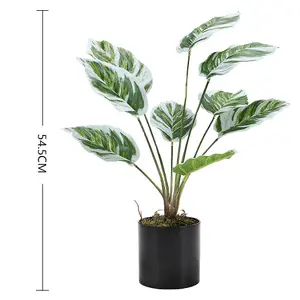 Potted Fake Plants Artificial Calathea White Fusion for Home Decoration 545mm (H)