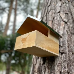 Blackbird Wooden Nesting Box with Metal Roof