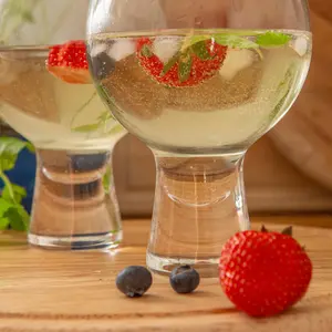 525ml Gin Balloon Glass Set (Set of 2)