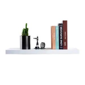 Balwinder Floating Shelf White / 3.8cm H x 40cm W x 23.5cm D