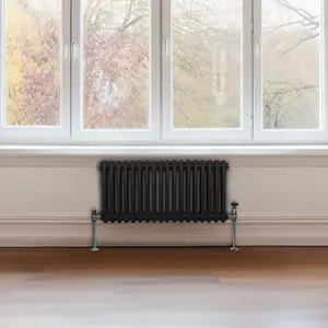 Traditional 2 Column Radiator - 300 x 832 mm - Black