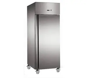 Gastroline 600 Litre Stainless Steel Single Door Catering Freezer With Fitted Castors