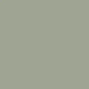 Next Mid Sage Green Ultimate Paint 2.5L