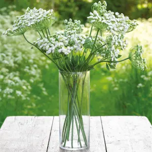 Bloom Artificial Single White Cow Parsley Stem - Faux Fake Silk Flower Indoor Home Decoration Floral Arrangements - Measures L65cm