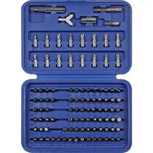 100 Piece Power Tool Security Bit Set - Chrome Vanadium Steel Bits - Case