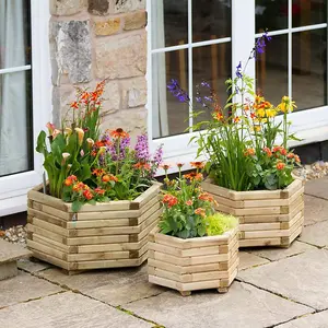 Zest Set of 3 Marford Wooden Hexagonal Garden Planters Flowers