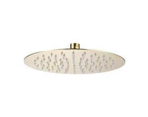 Aquarius RainLux Round Brushed Brass 2 Outlet Shower Bundle