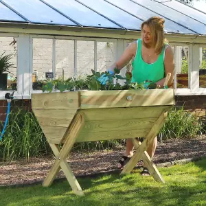 Zest Wooden Vegetable Raised Bed Planter Manger Garden 1m