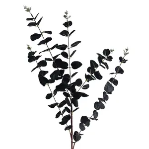 80cm Black Eucalyptus Foliage Stem