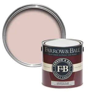 Farrow & Ball Exterior Masonry Mixed Colour Paint 230 Calamine 5L