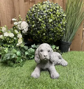 Adorable Small Lying Spaniel Ornament