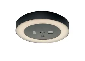 Luminosa ZOOM LED Flush Ceiling Light Anthracite, IP54 1800lm 4000K 30x5.5cm