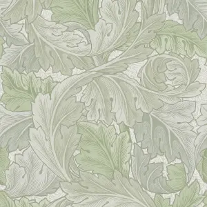 William Morris Misted Sage Acanthus Smooth Wallpaper