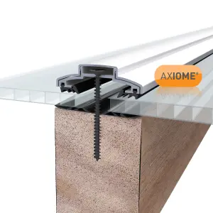 Axiome Clear Polycarbonate Twinwall Roofing sheet (L)2m (W)690mm (T)6mm