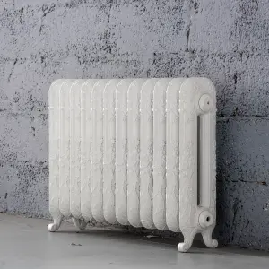 Arroll Daisy Cast iron White 10 Column Radiator, (W)684mm x (H)597mm