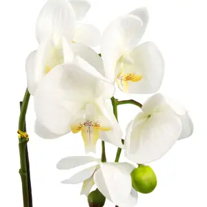 46cm Artificial Orchid White with Silver Pot