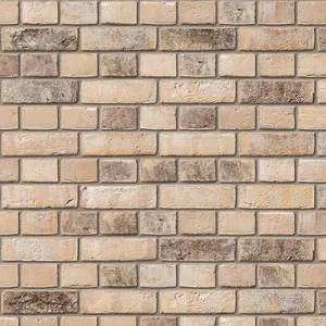 Ibstock Ivanhoe Cream Brick 65mm Mini Pack 250