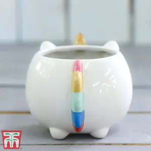 Unicorn Pot with Gold Horn - 1 Pot