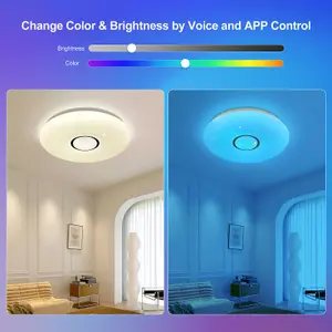 LED Smart Ceiling Light, 24 Watts RGB CCT 2700K-6500K, Dimmable