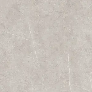 Sheldon Stone Effect Matt Grey Porcelain Tile / 60 x 60cm