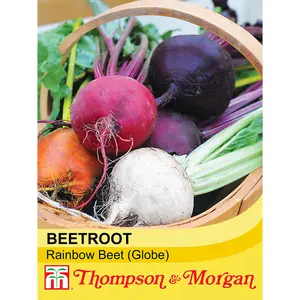 Beetroot Rainbow Beet 1 Seed Packet (250 Seeds)