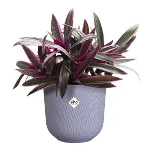 Elho Jazz Round 16cm Lavendar Lilac Recycled Plastic Plant Pot