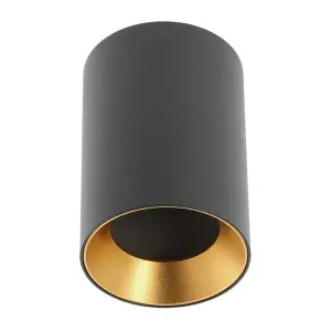 CGC Black Indoor Ceiling Spotlight With Gold Reflector