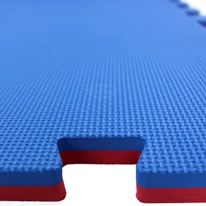 Martial Arts Karate Judo Kick Boxing Gym MMA 20mm in Red/Blue Floor Mat