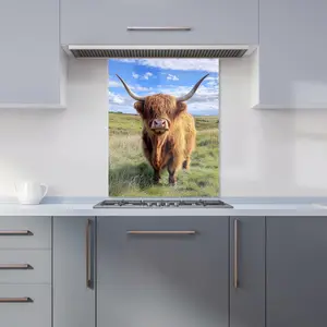 Highland Cow In Summer Kitchen Splashback