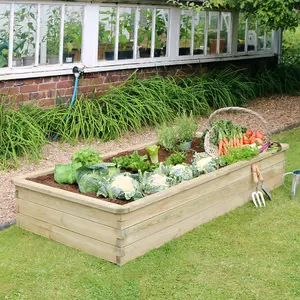 Zest Rectangular Sleeper Raised Wooden Bed Garden Planter 1.8m x 0.9m