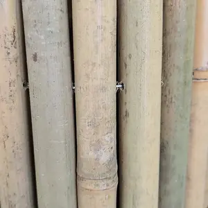 Premium Thick Bamboo Cane Fencing Screening Rolls 1.9m(L) x 1.5m(H)