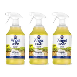 Nilco Angel Power 3L Garden Decking Wooden Floor Cleaner & Trigger Foam 3x 1L