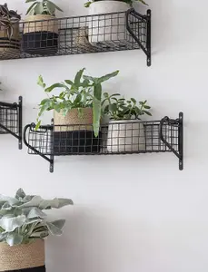 Wall Mounted Hanging Basket Shelf Powder Coated Steel Metal Rack Storage Shelving Bathroom Study H12 x W53 x D18.5cm)