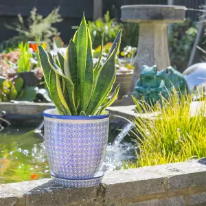 Nicola Spring - Hand Printed Plant Pot with Saucer - 22cm - Navy