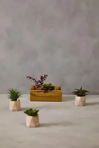 Mixed Succulents Fiori with Ceramic Gold Pot Artificial Plant Foliage