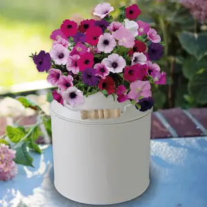 Pronto Seed Petunia Flower Growing Kit with Milkchurn Planter & Petunia Seeds - Gardening Gifts for Women & Men