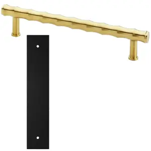 Pull Handle & Contrasting Backplate Set - Modern Bamboo T Bar - Satin Brass & Black