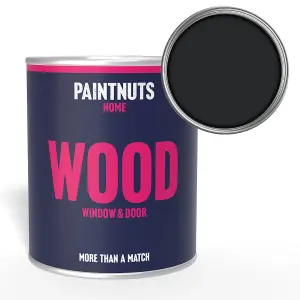 PaintNuts Wood Window Door Weatherproof Matt Paint - Graphite Black  - 250ml (RAL9011)