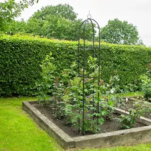 Garden Obelisk Metal Outdoor Trellis Climbing Arch - Dark Green