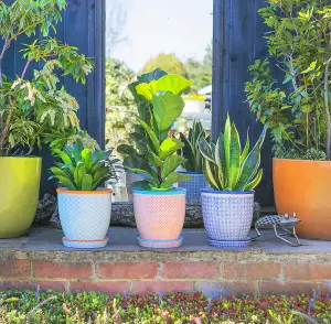 Nicola Spring - Hand-Printed Plant Pots with Saucers - 20.5cm - Navy - Pack of 3