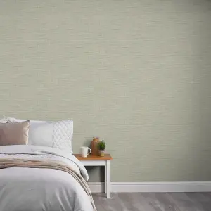 Grandeco Katsu Texture Plain Blown Wallpaper, Sage