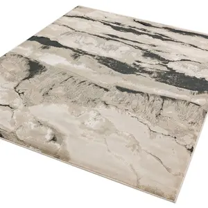 Quartz Modern Abstract Optical Easy to Clean Rug for Living Room Bedroom and Dining Room-200cm X 290cm