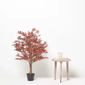 Homescapes Acer Tree in Pot, 90 cm Tall